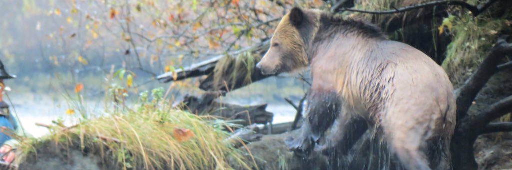 rivazbay63's profile banner image