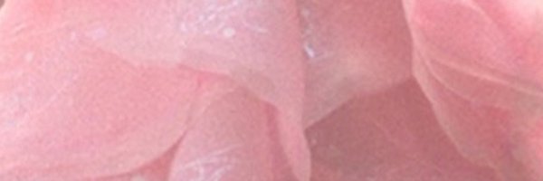 snowysglobe Profile Banner