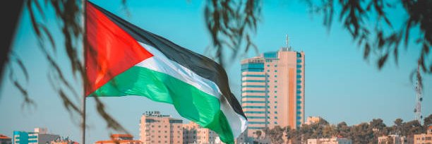 Palestine Coin banner