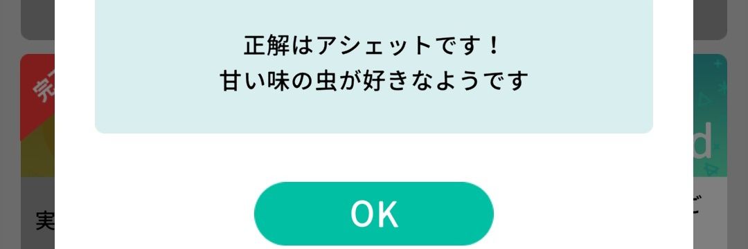 こあﾁｬﾝᴖ ̫ᴖ banner