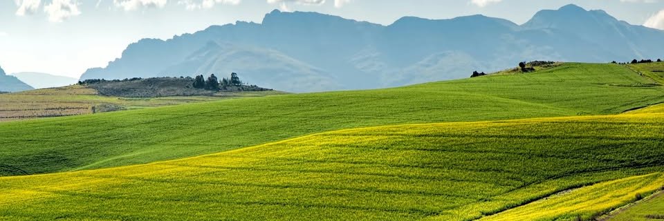 soloterreni's profile banner image