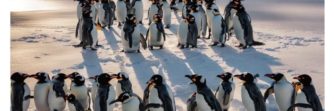 Xavi (ni Txavi ni Shavi... ni Xevi!) banner