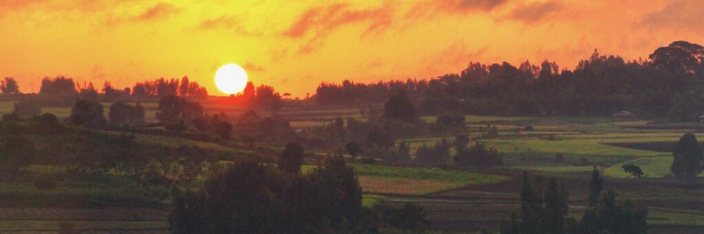 Isabelle Rath banner