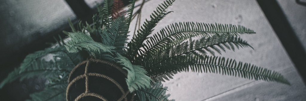 armsmb's profile banner image