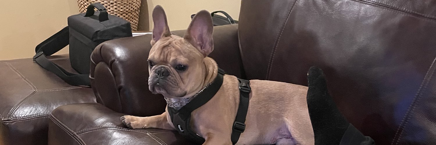 TippyToeTati's profile banner image