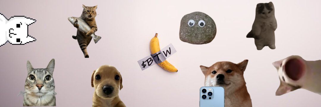 Crypto$hopper 🤳🪨🐱🍌🐶 banner