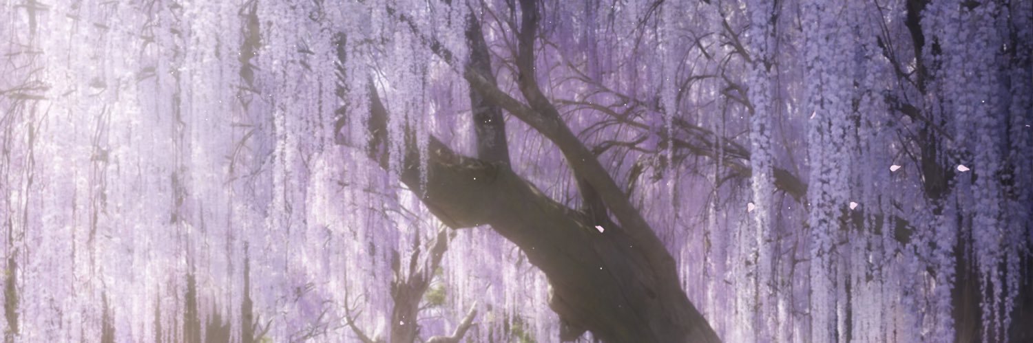 fluttrfly's profile banner image