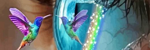 leessaa1's profile banner image
