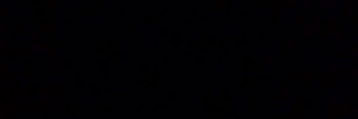 vivcarson's profile banner image