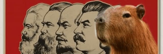 carpinchonomate's profile banner image