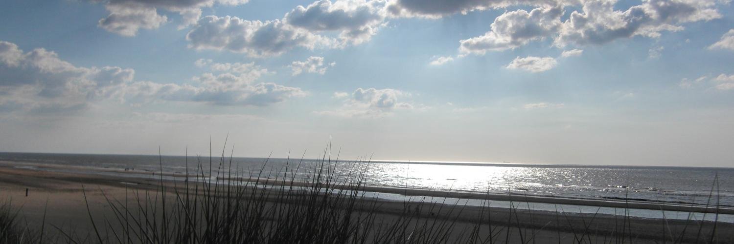 funkiefemme's profile banner image