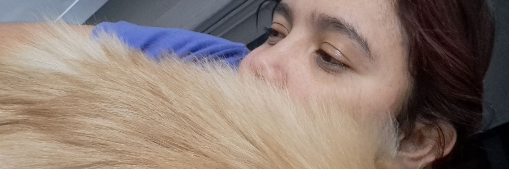 NilNicolas1999's profile banner image