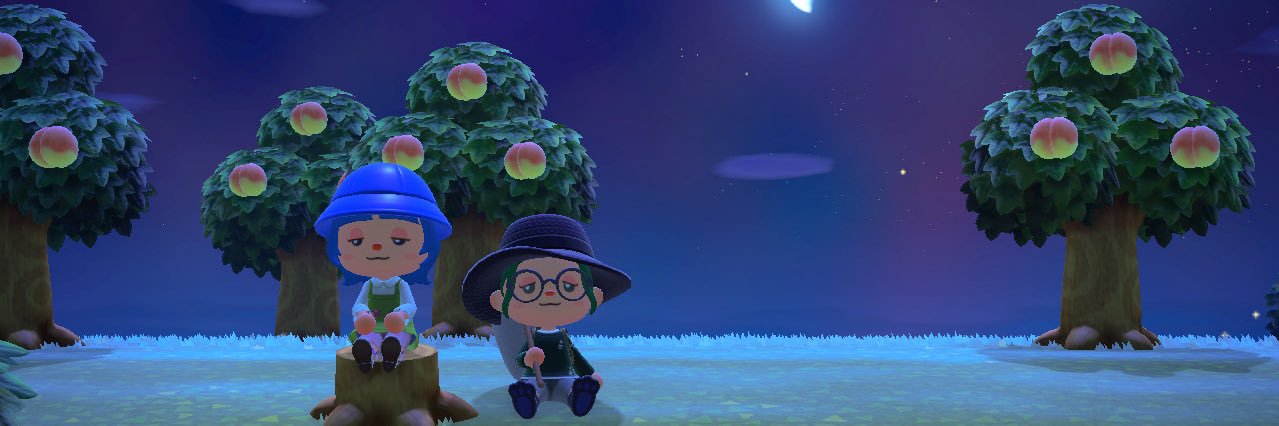 Little_Frog_Town banner
