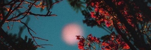 DailaJohnson's profile banner image