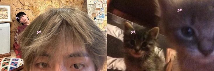 luluztk | ENHYPEN IS 7 banner