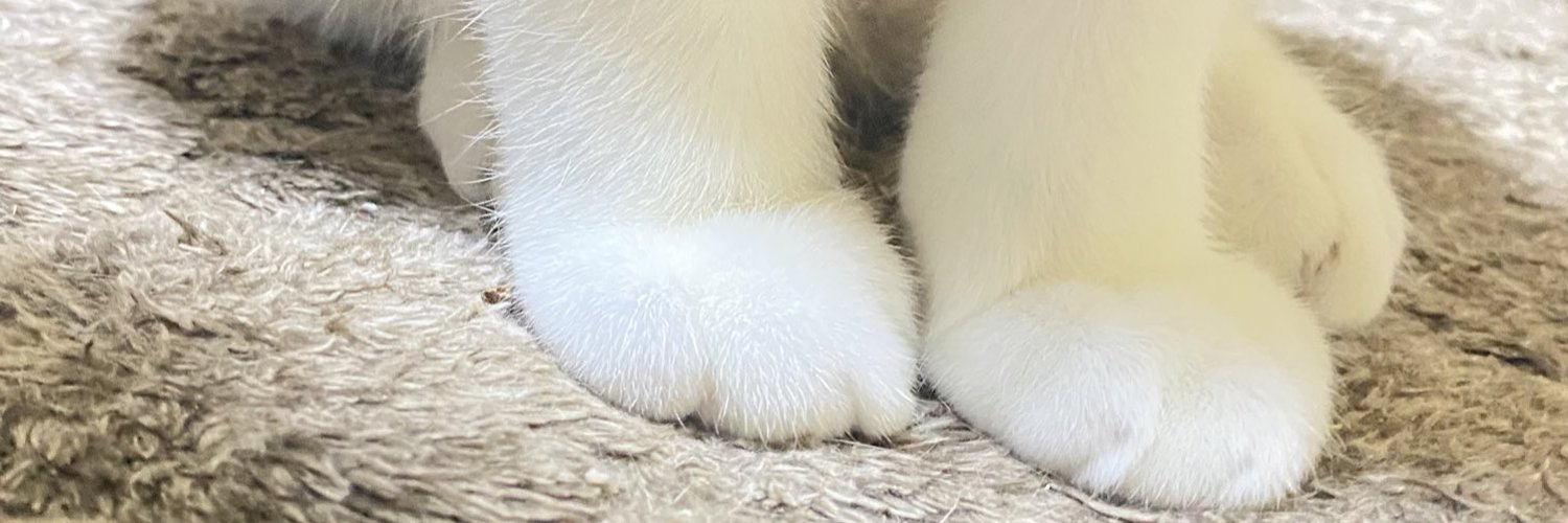 K8_Z's profile banner image