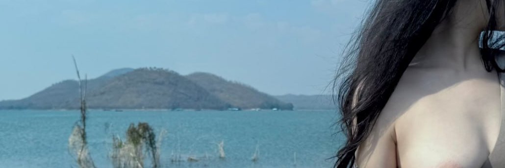 wwwd banner