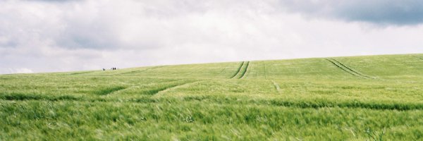 cowsayco Profile Banner