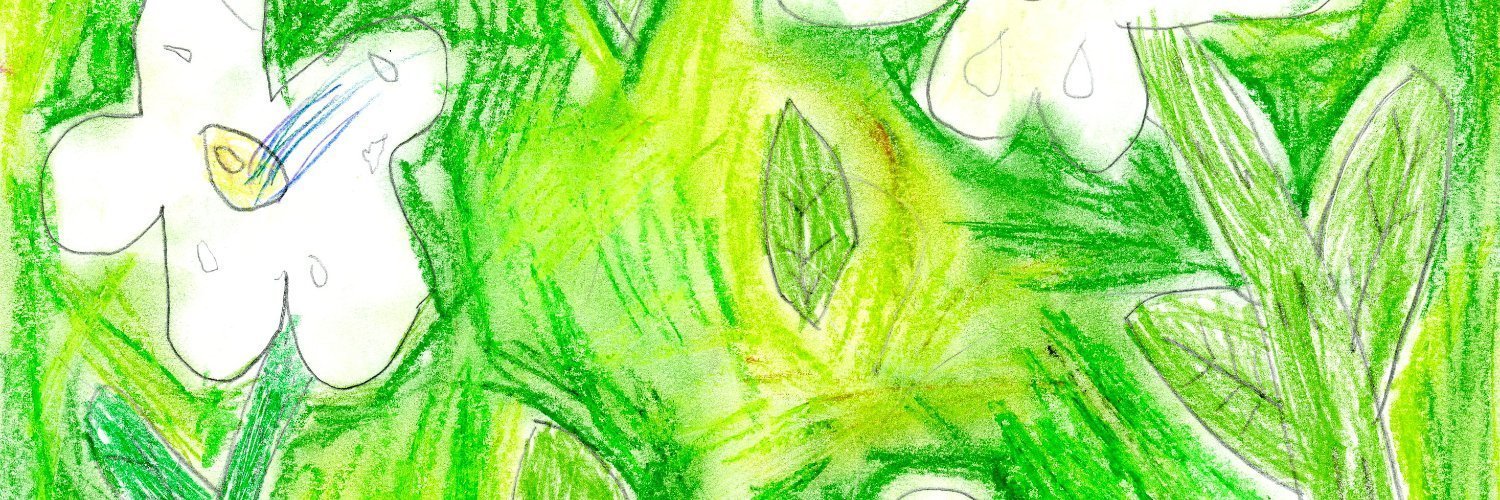 𝅄.daily basil ۪ ݁ 🌱 banner