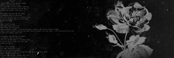 W banner