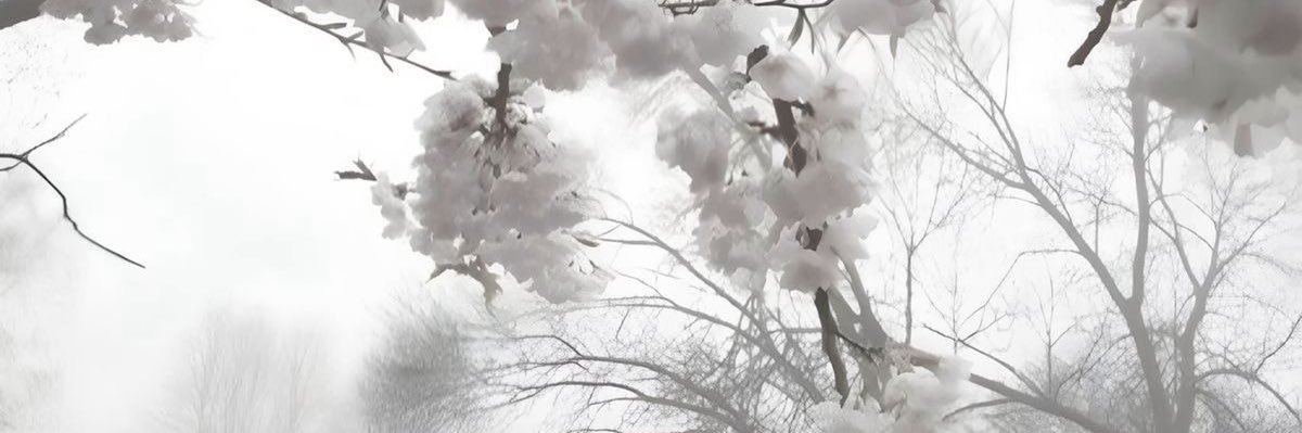 sammers banner