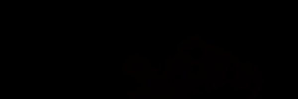 canvas_zi_nft Profile Banner