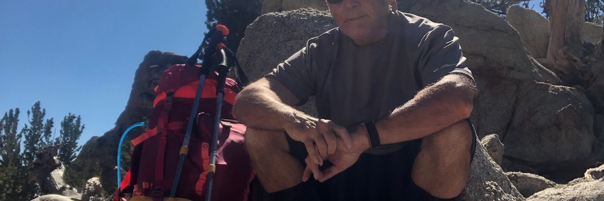 Living In Simulation banner