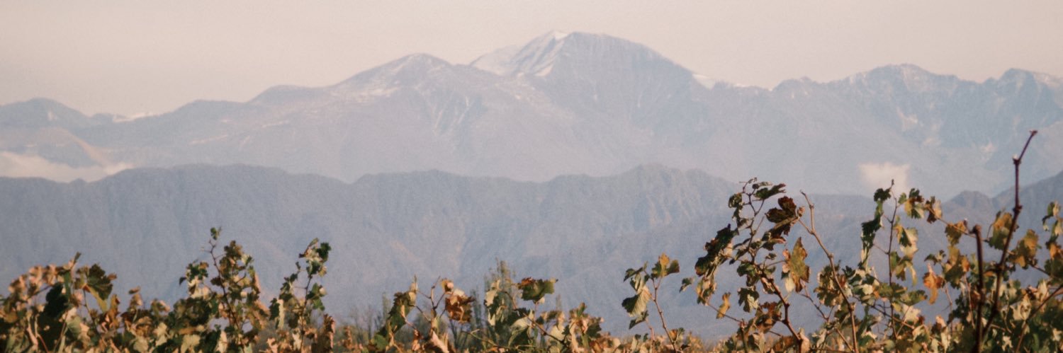 discoverywinemz's profile banner image