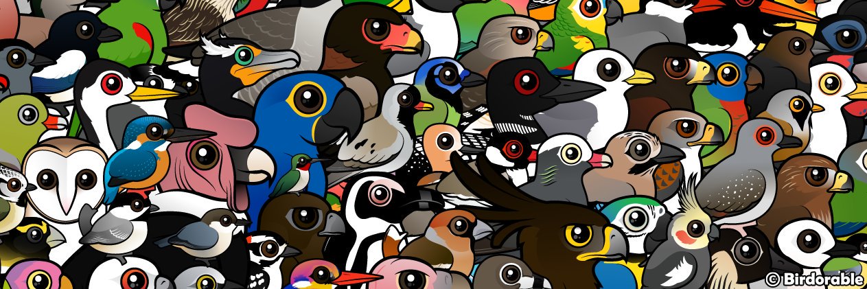 birdorable's profile banner image