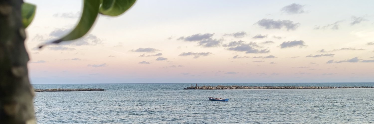 Alenilda Oliveira banner