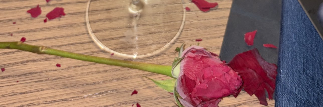 princess liza ⋆.𐙚 ̊ banner