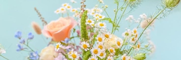 Bee’s Little Ranch's banner