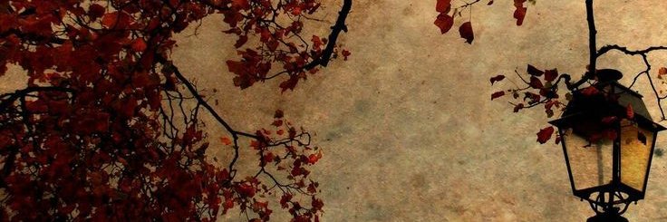 nina ༊ banner