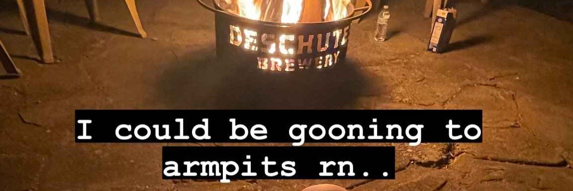 toronto bluejays nationalist banner