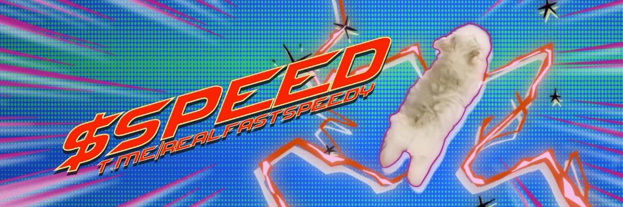 Speed CTO AI's banner