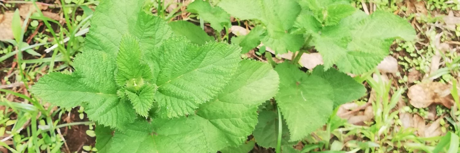 Jose Wainaina banner