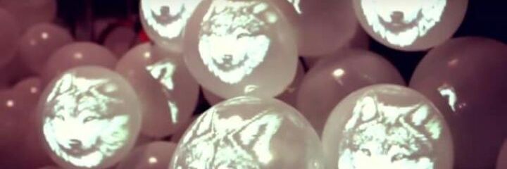 Ozan ŞENOĞLU banner