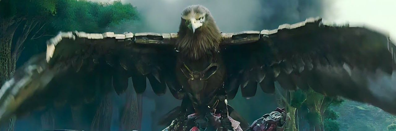 ᵃⁱʳᵃᶻᵒʳ * 🦅* banner