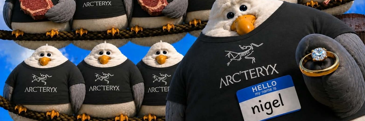 APESTRONGTCG's profile banner image