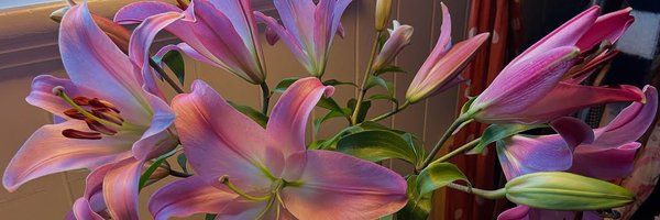 mauurimm Profile Banner
