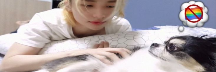 rina 𖣂 | VAI VER O SKZ DNV banner