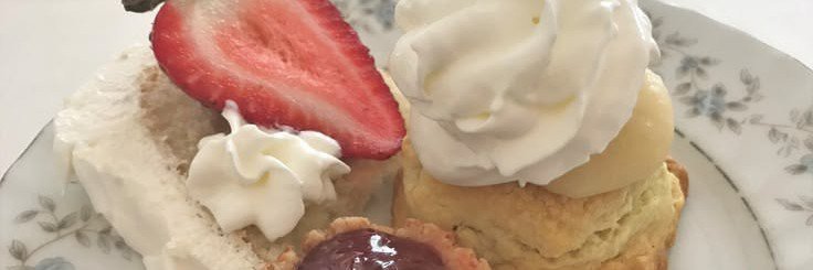 Paaycream's profile banner image