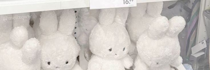 ݁ 𝑬𝒕𝒉𝒂𝒏 ݂ ତ ☁️ banner