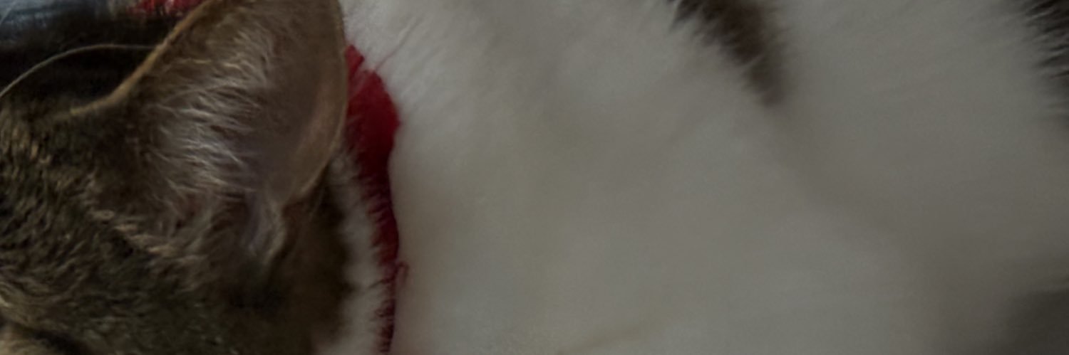☆ banner