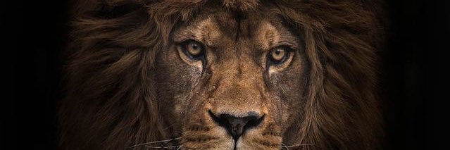 Peyton Carson banner