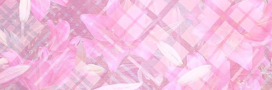 Patchwork_Queen's profile banner image