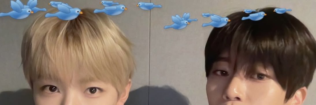 yaaaa banner