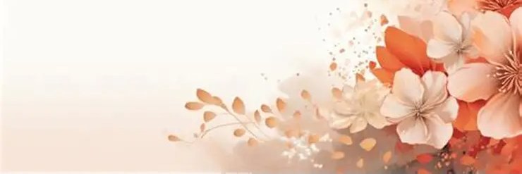 luciarosesx's profile banner image