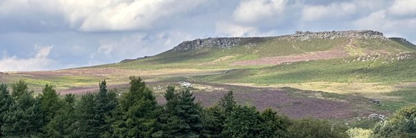 LongshawSheep Profile Banner