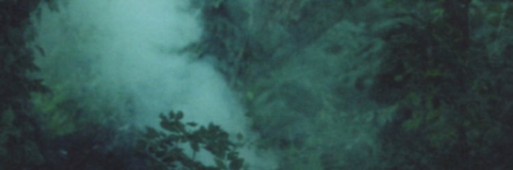 sarahlsmith23's profile banner image